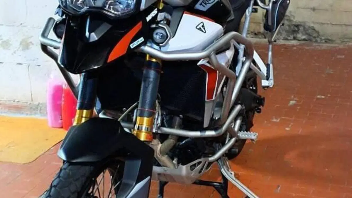 Triumph Tiger 900 Rally Pro (2020 - 23)  (4)