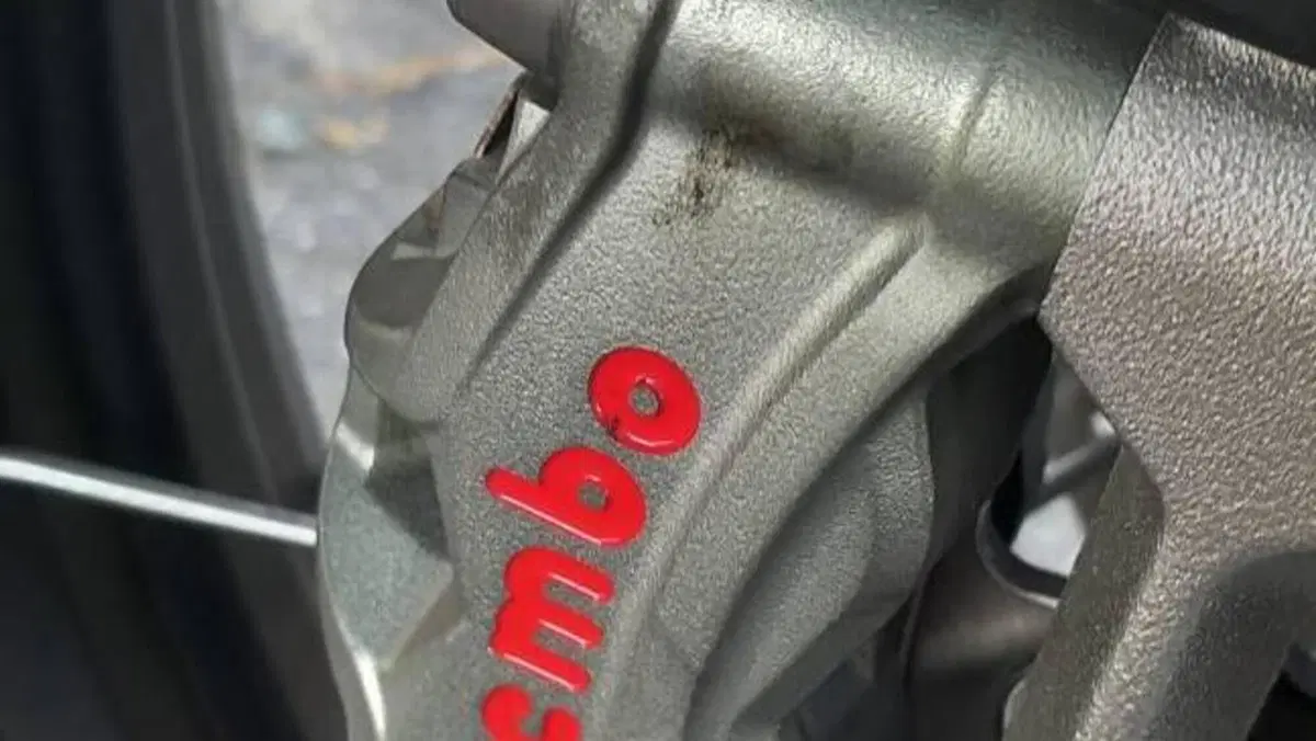 Triumph Tiger 900 Rally Pro (2020 - 23)  (7)
