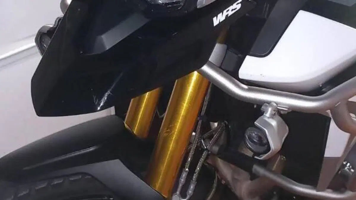 Triumph Tiger 900 Rally Pro (2020 - 23)  (9)