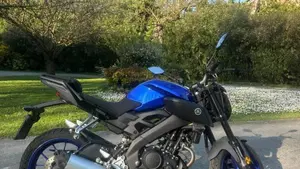 Yamaha MT-125 ABS (2017 - 19)  (3)