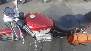 Harley-Davidson 883 Low (2006 - 07) - XL 883L  (8)