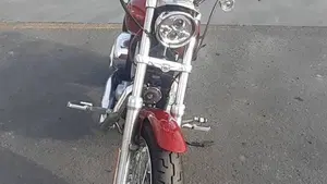 Harley-Davidson 883 Low (2006 - 07) - XL 883L  (4)