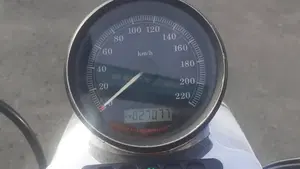 Harley-Davidson 883 Low (2006 - 07) - XL 883L  (7)