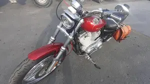Harley-Davidson 883 Low (2006 - 07) - XL 883L  (2)