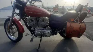 Harley-Davidson 883 Low (2006 - 07) - XL 883L  (6)