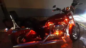 Harley-Davidson 883 Low (2006 - 07) - XL 883L  (10)