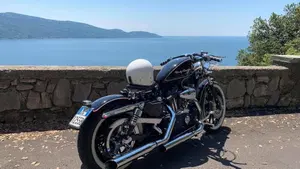 Harley-Davidson 883 R (2008 - 16) - XL 883R  (6)