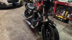 Harley-Davidson 1200 Forty-Eight (2016 - 20)  (3)