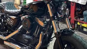 Harley-Davidson 1200 Forty-Eight (2016 - 20)  (9)