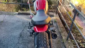 Ducati Scrambler 800 Icon (2023 - 24) 