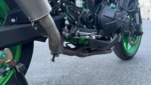 Kawasaki Z 900 (2021 - 24)  (4)