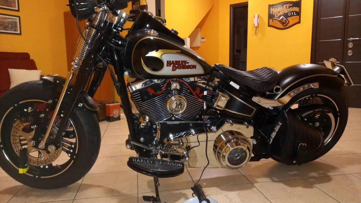 Harley-Davidson 1690 Fat Boy Special (2010 - 17) - FLSTF  (2)