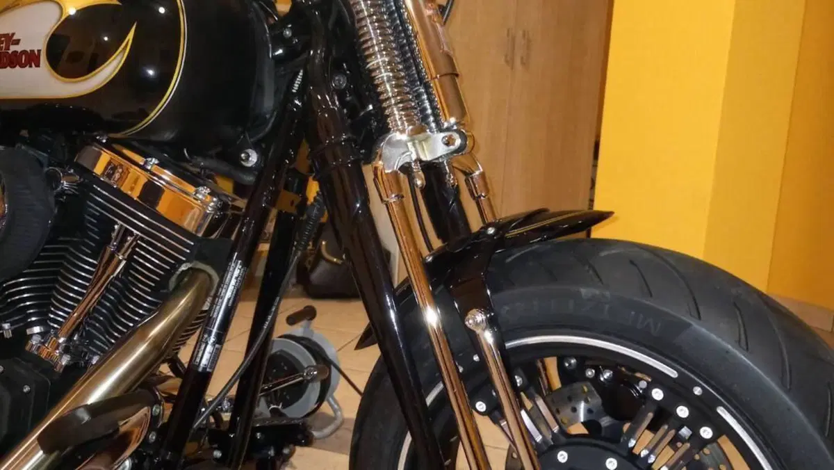 Harley-Davidson 1690 Fat Boy Special (2010 - 17) - FLSTF  (3)