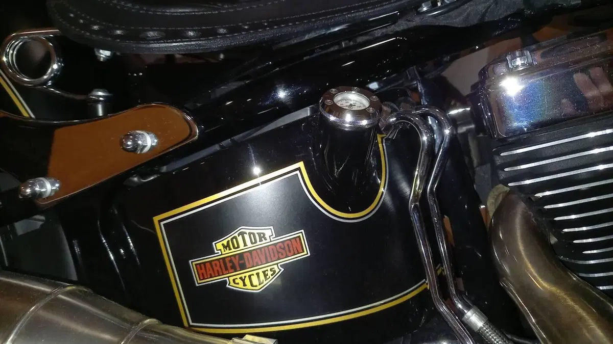 Harley-Davidson 1690 Fat Boy Special (2010 - 17) - FLSTF  (10)