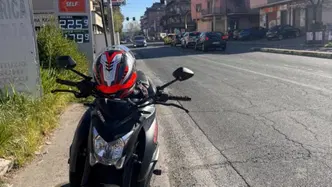 Suzuki GSX-S1000 ABS (2017 - 20) usata