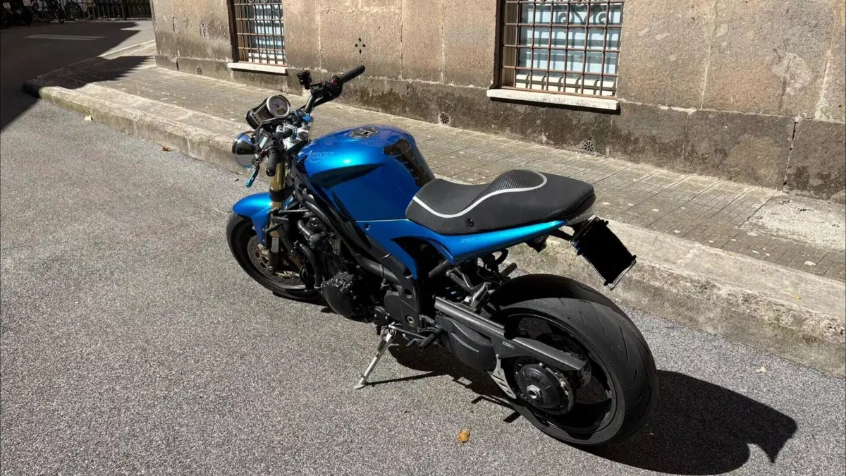 Triumph Speed Triple 1050 (2005 - 11)  (3)