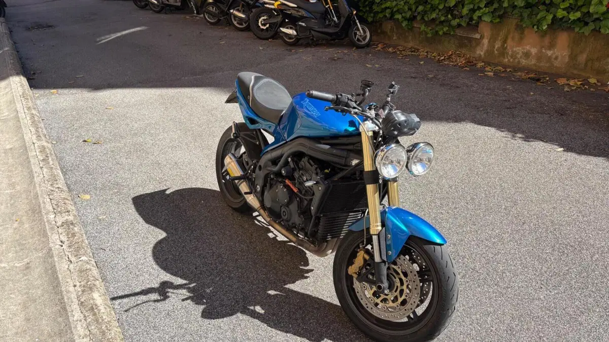 Triumph Speed Triple 1050 (2005 - 11)  (5)