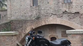 Harley-Davidson 883 Iron (2012 - 14) - XL 883N usata