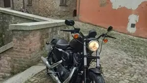 Harley-Davidson 883 Iron (2012 - 14) - XL 883N  (6)