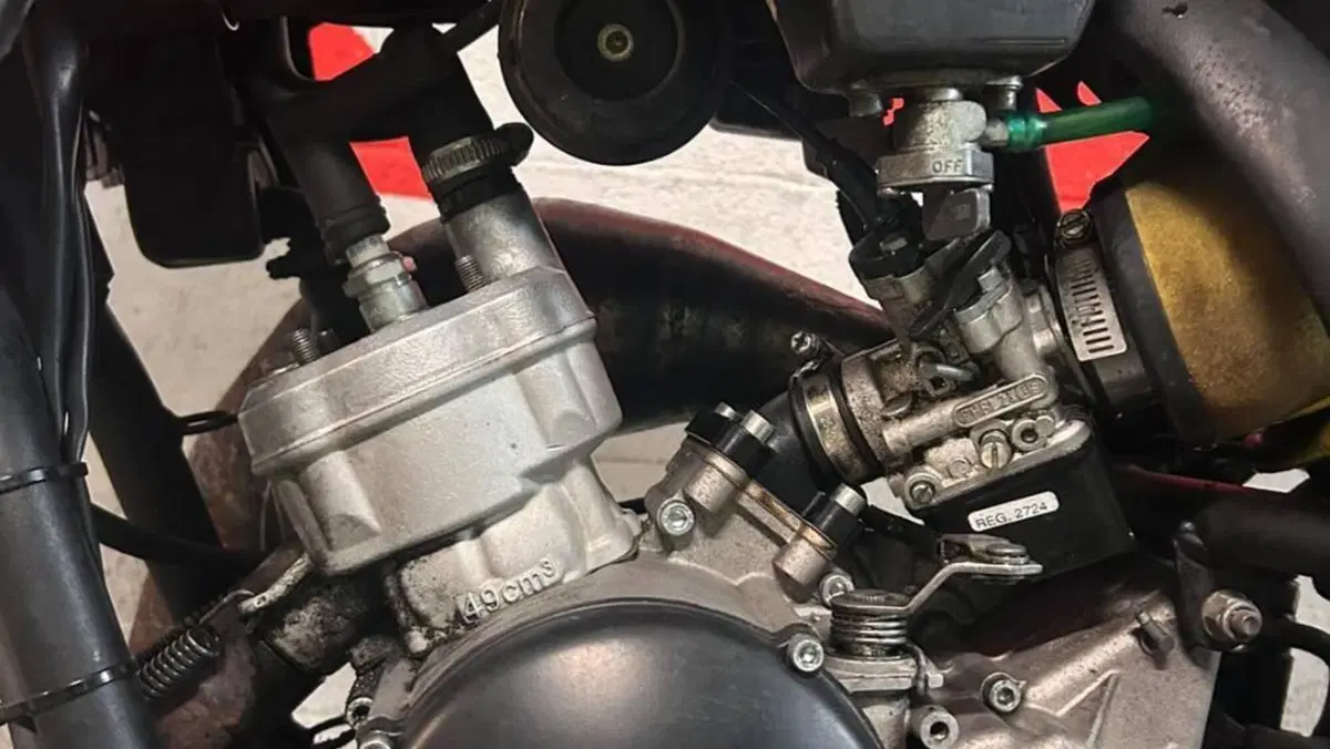 Betamotor RR 50 Motard (2013)  (2)