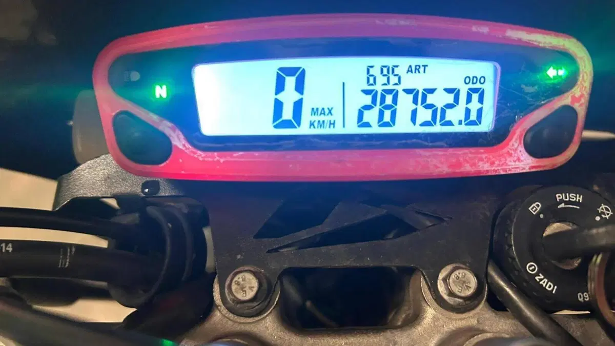 Betamotor RR 50 Motard (2013)  (3)