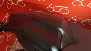 Triumph Daytona 660 (2024 - 26)  (5)