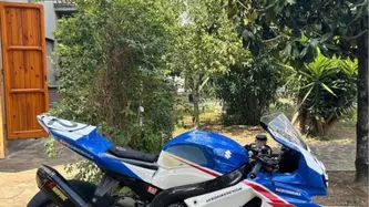 Suzuki GSX-R1000 (2009 - 11) usata