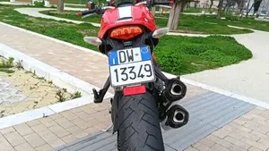 Ducati Monster 1100 Evo ABS (2011 - 13)  (3)