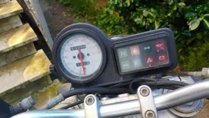 Ducati Monster 600 (1994 - 02)  (2)