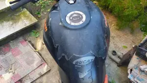 Ducati Monster 600 (1994 - 02)  (5)