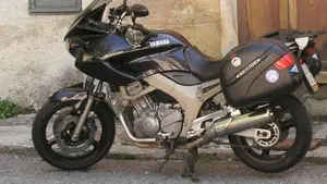 Yamaha TDM 900 (2002 - 14) 