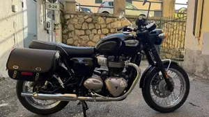 Triumph Bonneville T100 (2017 - 20)  (3)