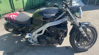 Triumph Speed Triple 955 (2002 - 04) usata