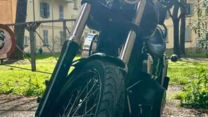 Harley-Davidson 1584 Wide Glide (2007 - 11) - FXDWG  (8)