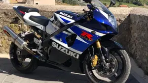 Suzuki GSX-R1000 (2003 - 04)  (8)