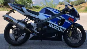 Suzuki GSX-R1000 (2003 - 04)  (11)