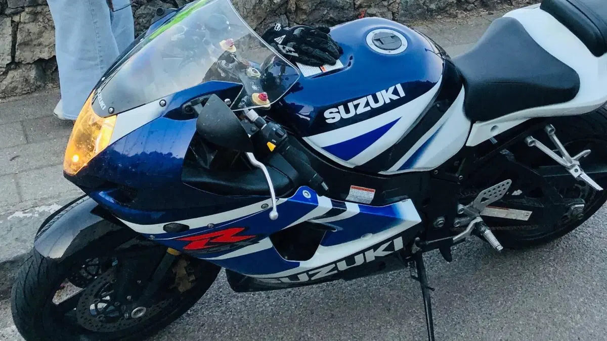 Suzuki GSX-R1000 (2003 - 04)  (13)