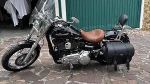 Harley-Davidson 1584 Wide Glide (2007 - 11) - FXDWG  (6)
