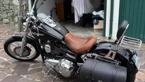 Harley-Davidson 1584 Wide Glide (2007 - 11) - FXDWG  (7)