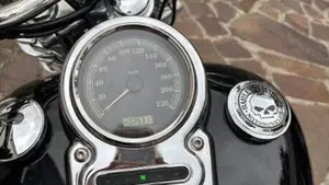 Harley-Davidson 1584 Wide Glide (2007 - 11) - FXDWG  (8)