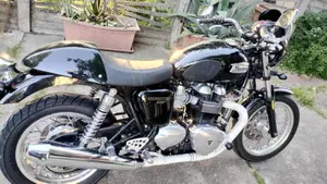 Triumph Thruxton 900 (2004 - 15)  (3)