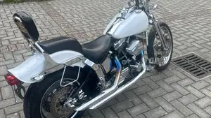 Harley-Davidson 1340 Springer (1990 - 98) - FXSTS  (2)