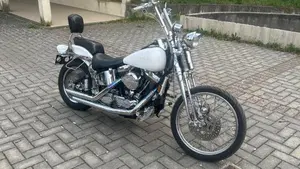 Harley-Davidson 1340 Springer (1990 - 98) - FXSTS  (7)