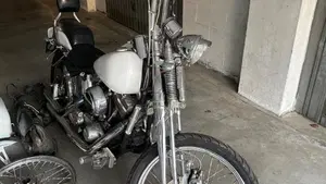 Harley-Davidson 1340 Springer (1990 - 98) - FXSTS  (9)