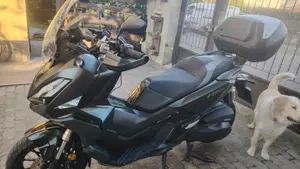 Honda ADV 350 (2022 - 24)  (5)