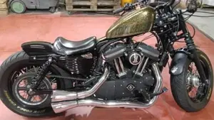Harley-Davidson 1200 Forty-Eight (2010 - 15)  (2)