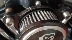 Harley-Davidson 1200 Forty-Eight (2010 - 15)  (3)