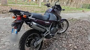 Kawasaki KLE 500 (2001 - 04)  (2)