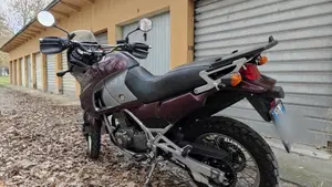 Kawasaki KLE 500 (2001 - 04)  (3)