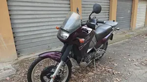 Kawasaki KLE 500 (2001 - 04)  (4)